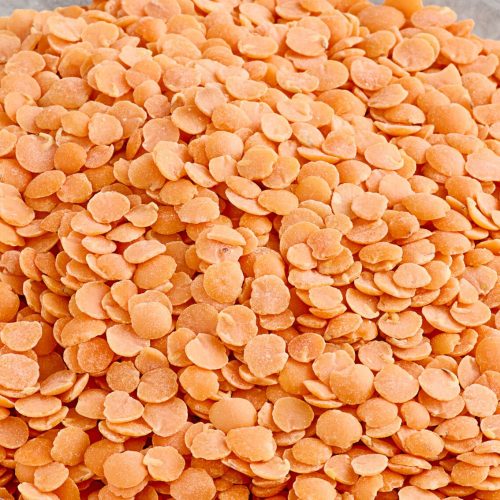 Red Lentil