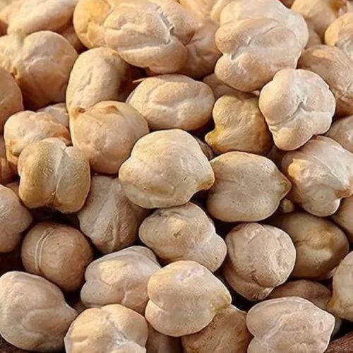 Kabuli Chickpea