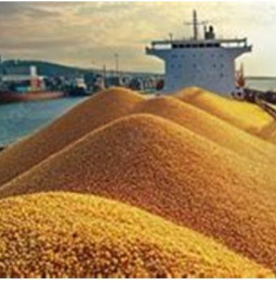 Wheat
